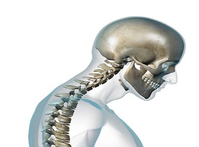 צוואר תפוס וכאבי צוואר