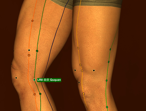 נקודת דיקור Liv8