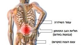 טיפול טבעי בכאבי גב תחתון