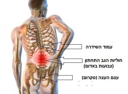 כאבי גב תחתון