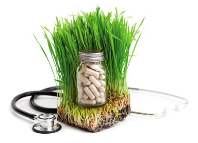 שיטת הבריאות הטבעית