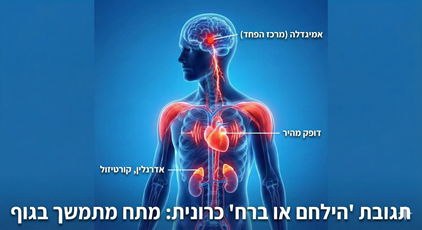 הילחם או ברח כרוני