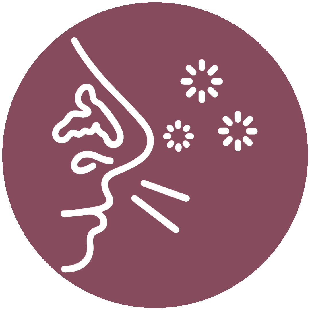 icon hover