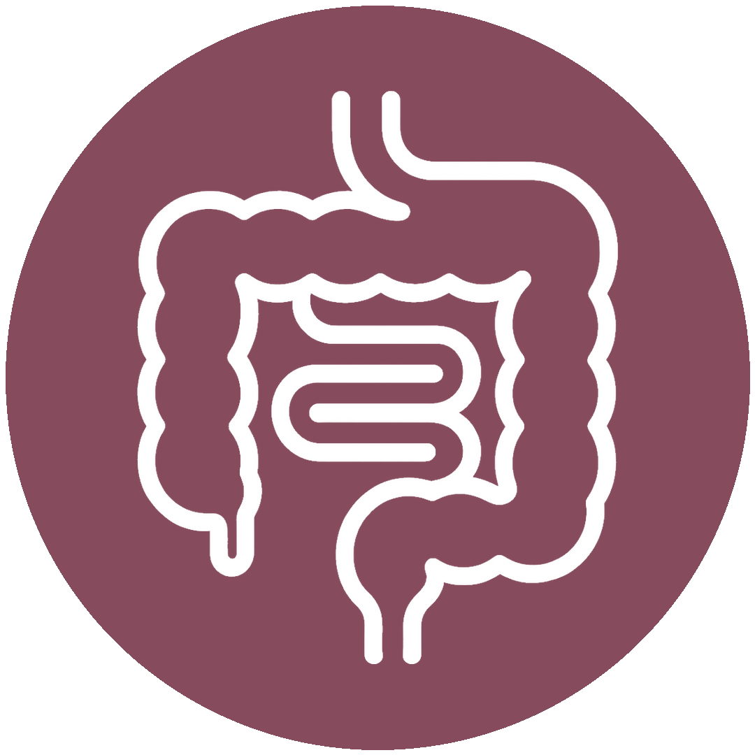 icon hover