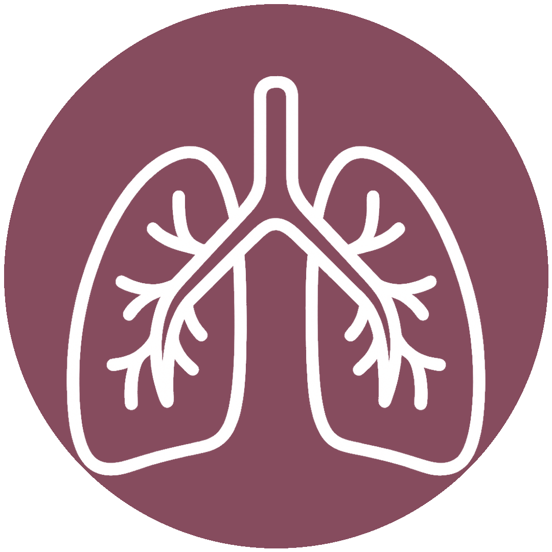 icon hover