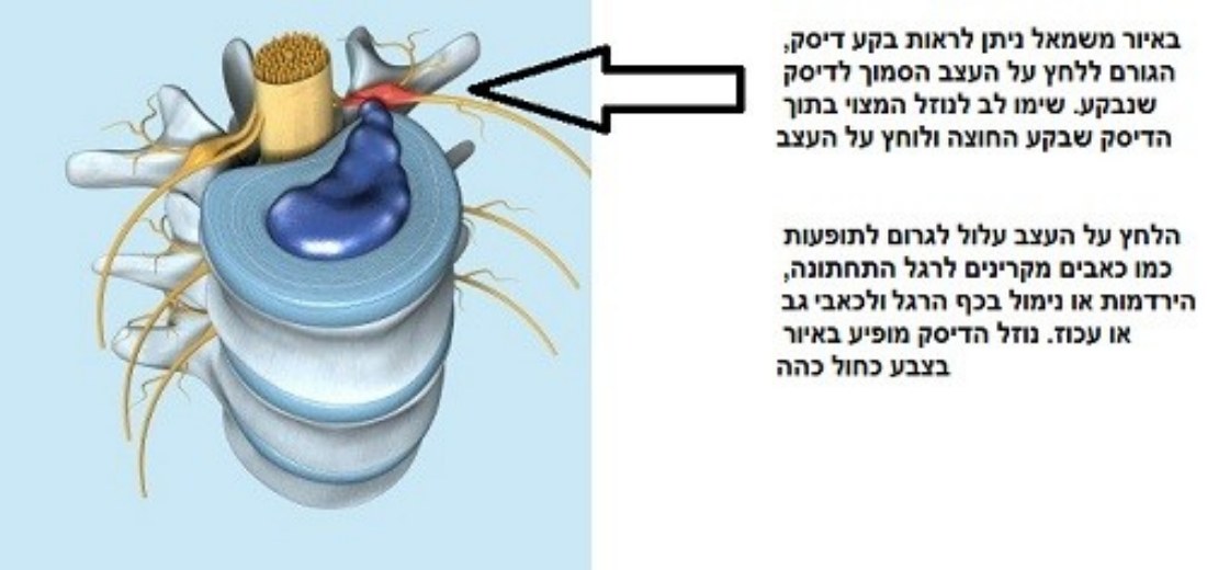 מכתב ההמלצה המקורי