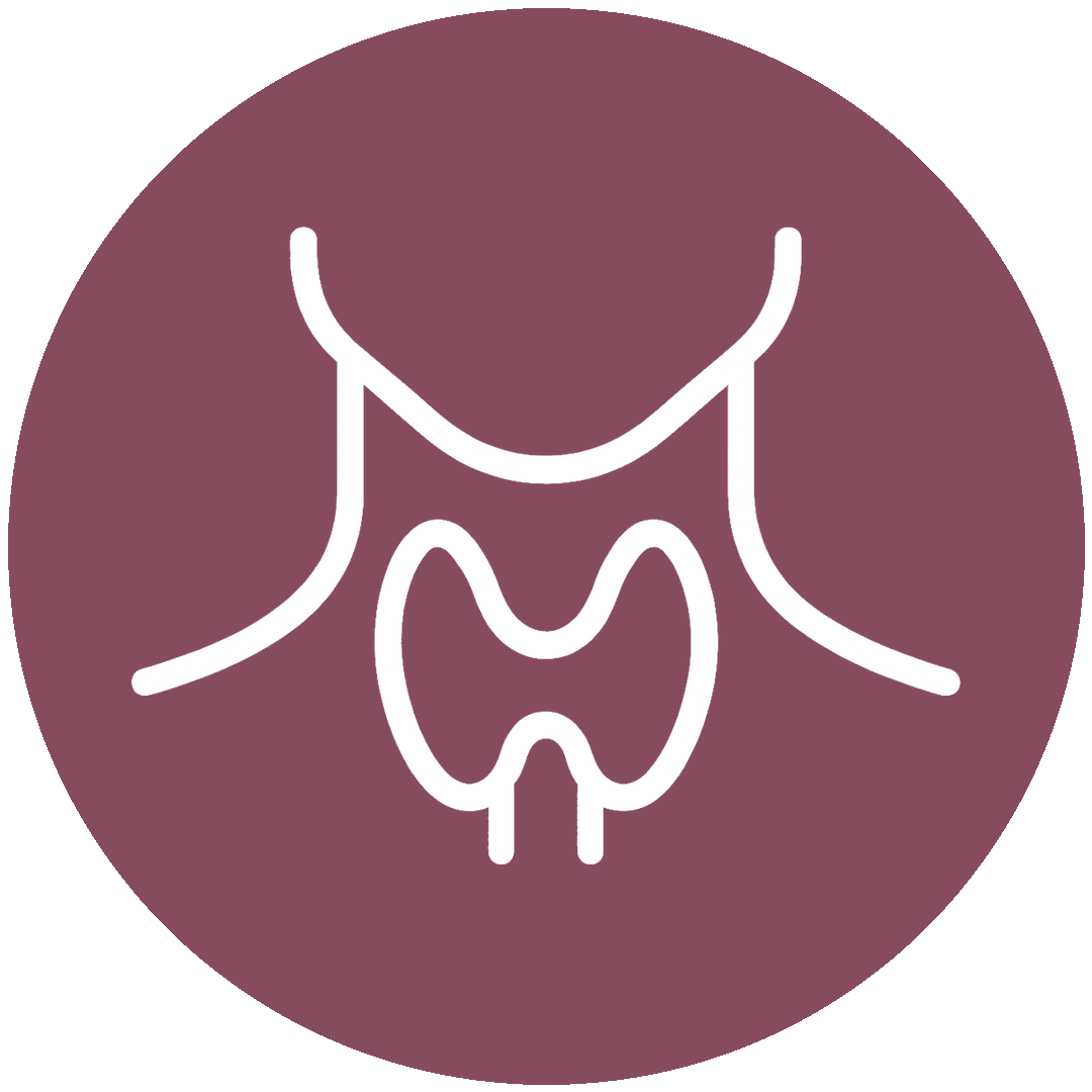 icon hover